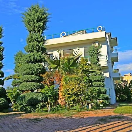 גולם A-Vila מראה חיצוני תמונה