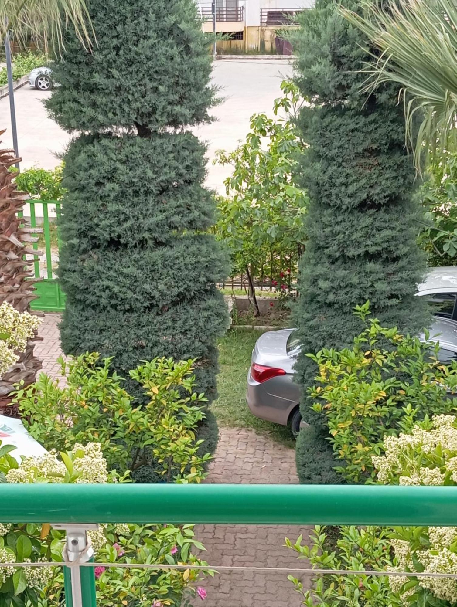 גולם A-Vila מראה חיצוני תמונה